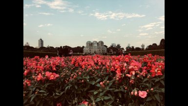 O que fazer em Curitiba